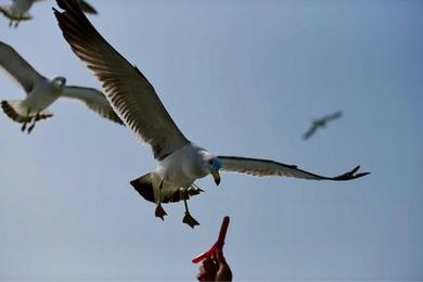 樱花韩漫免费阅读