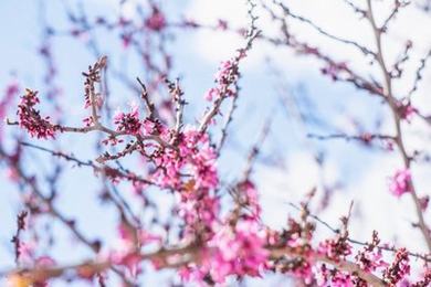 狂c瑜伽老师一节课视频